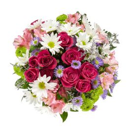 Belek Florist Bunte Blumen im Vase