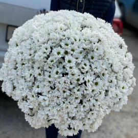 Флорист в Белек  