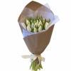 product-nav-img