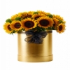 product-nav-img