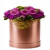product-nav-img